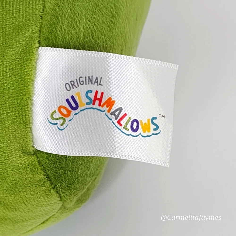 🐣 DEANDRA 🐿️ FTM Green Squirrel Yellow Daisy Ears Easter 2025 Squishmallow NWT